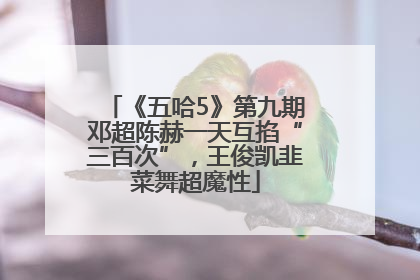 《五哈5》第九期邓超陈赫一天互掐“三百次”，王俊凯韭菜舞超魔性