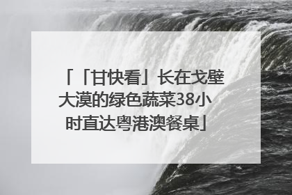 「甘快看」长在戈壁大漠的绿色蔬菜38小时直达粤港澳餐桌