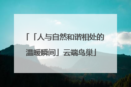 「人与自然和谐相处的温暖瞬间」云端鸟巢