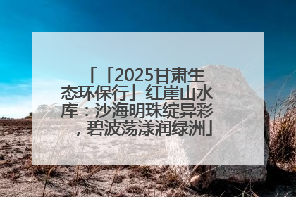 「2025甘肃生态环保行」红崖山水库：沙海明珠绽异彩，碧波荡漾润绿洲