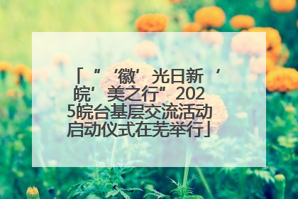 “‘徽’光日新‘皖’美之行”2025皖台基层交流活动启动仪式在芜举行