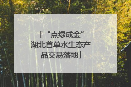 “点绿成金” 湖北首单水生态产品交易落地