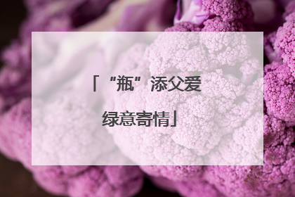 “瓶”添父爱 绿意寄情