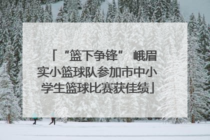 “篮下争锋” 峨眉实小篮球队参加市中小学生篮球比赛获佳绩