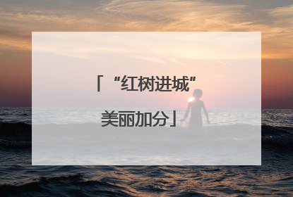 “红树进城” 美丽加分