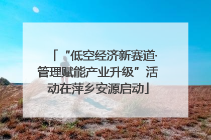 “低空经济新赛道·管理赋能产业升级”活动在萍乡安源启动
