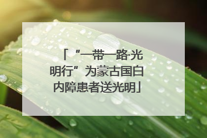 “一带一路·光明行”为蒙古国白内障患者送光明
