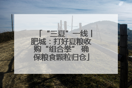 “三夏”一线丨肥城：打好夏粮收购“组合拳” 确保粮食颗粒归仓