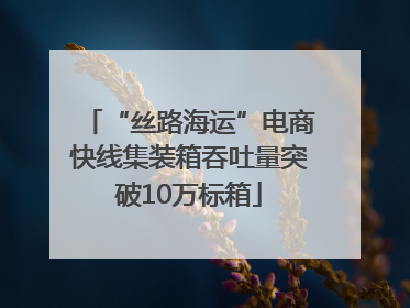 “丝路海运”电商快线集装箱吞吐量突破10万标箱