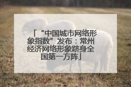 “中国城市网络形象指数”发布：常州经济网络形象跻身全国第一方阵