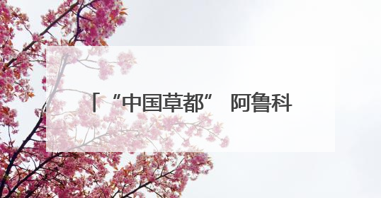 “中国草都” 阿鲁科尔沁旗：从野生牧草亩产 35 公斤到苜蓿草亩产 800 公斤以上