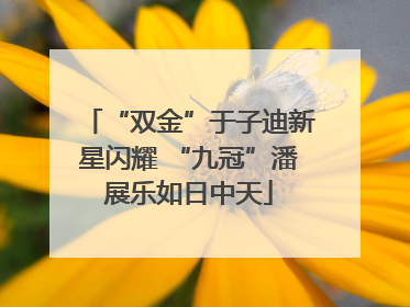 “双金”于子迪新星闪耀 “九冠”潘展乐如日中天
