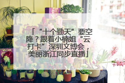 “十个勤天”要空降？跟着小楠姐“云打卡”深圳文博会，美丽浙江同步直播