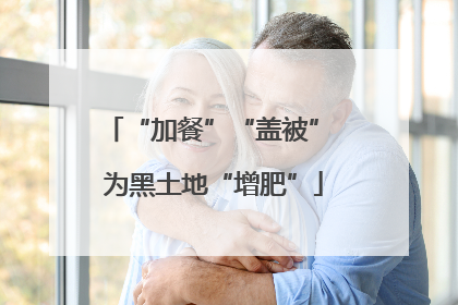 “加餐”“盖被” 为黑土地“增肥”