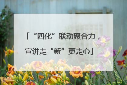 “四化”联动聚合力，宣讲走“新”更走心