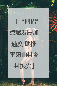 “四招”点燃发展加速度 助推平阳山村乡村振兴
