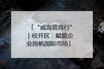 “威海营商行”｜经开区：赋能企业扬帆国际市场