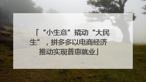 “小生意”撬动“大民生”，拼多多以电商经济推动实现普惠就业
