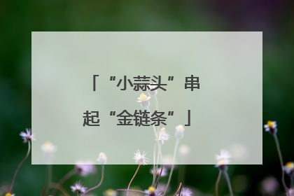 “小蒜头”串起“金链条”