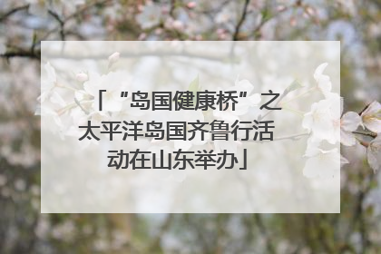 “岛国健康桥”之太平洋岛国齐鲁行活动在山东举办