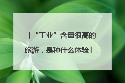 “工业”含量很高的旅游，是种什么体验