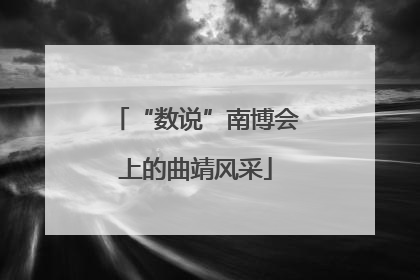 “数说”南博会上的曲靖风采