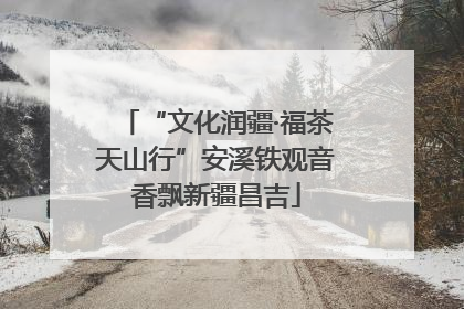 “文化润疆·福茶天山行”安溪铁观音香飘新疆昌吉