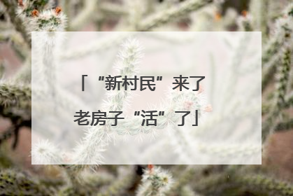 “新村民”来了 老房子“活”了