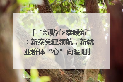 “新贴心·泰暖新”：新泰党建领航，新就业群体“心”向暖阳
