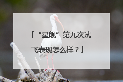 “星舰”第九次试飞表现怎么样？