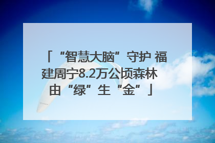 “智慧大脑”守护 福建周宁8.2万公顷森林由“绿”生“金”
