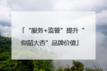 “服务+监管”提升“仰韶大杏”品牌价值