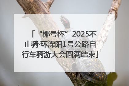 “椰号杯”2025不止骑·环溧阳1号公路自行车骑游大会圆满结束