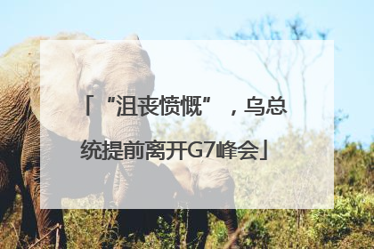 “沮丧愤慨”，乌总统提前离开G7峰会