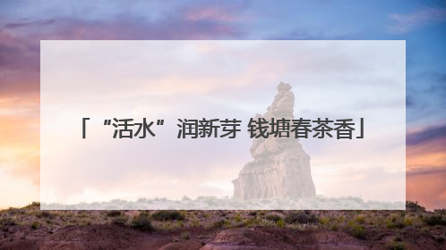 “活水”润新芽 钱塘春茶香