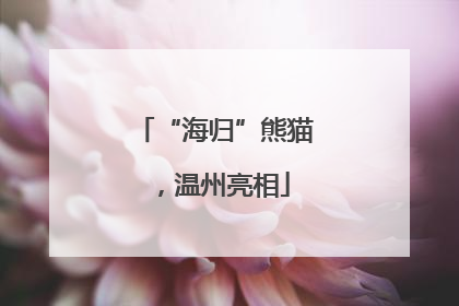 “海归”熊猫，温州亮相