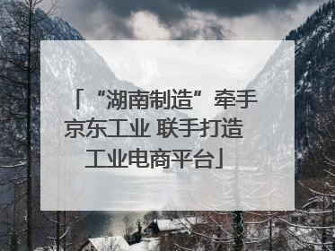 “湖南制造”牵手京东工业 联手打造工业电商平台