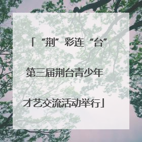 “荆”彩连“台” 第三届荆台青少年才艺交流活动举行