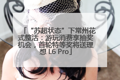 “苏超状态”下常州花式整活：游玩消费享抽奖机会，首轮特等奖将送理想 L6 Pro
