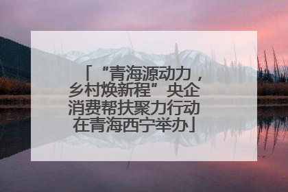 “青海源动力，乡村焕新程”央企消费帮扶聚力行动在青海西宁举办