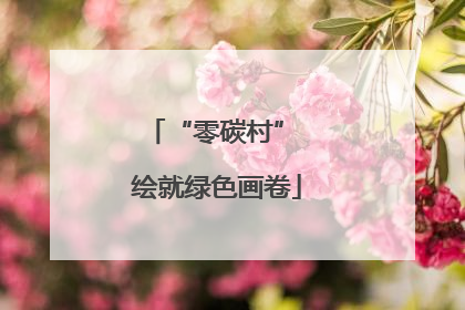 “零碳村” 绘就绿色画卷