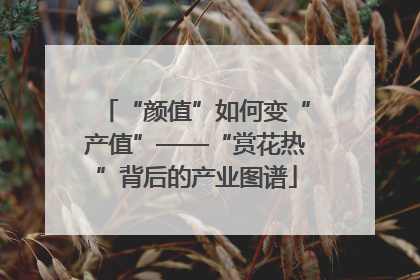“颜值”如何变“产值”——“赏花热”背后的产业图谱