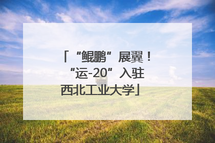 “鲲鹏”展翼！“运-20”入驻西北工业大学