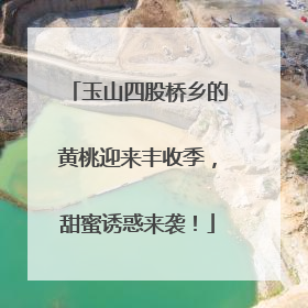 玉山四股桥乡的黄桃迎来丰收季，甜蜜诱惑来袭！