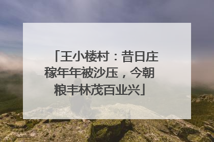 王小楼村：昔日庄稼年年被沙压，今朝粮丰林茂百业兴