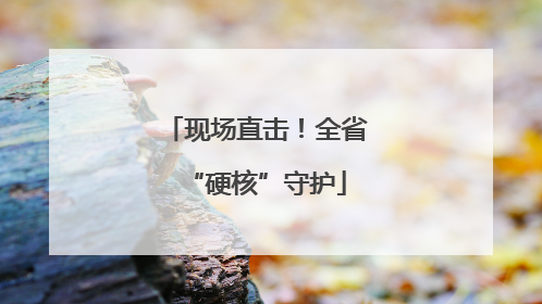 现场直击！全省“硬核”守护