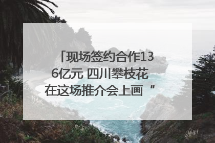 现场签约合作136亿元 四川攀枝花在这场推介会上画“图谱”列“清单”