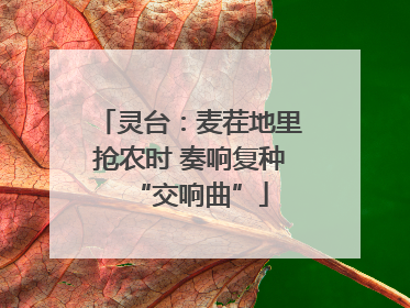 灵台：麦茬地里抢农时 奏响复种“交响曲”