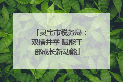 灵宝市税务局：双措并举 赋能干部成长新动能
