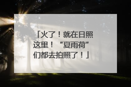 火了！就在日照这里！“夏雨荷”们都去拍照了！